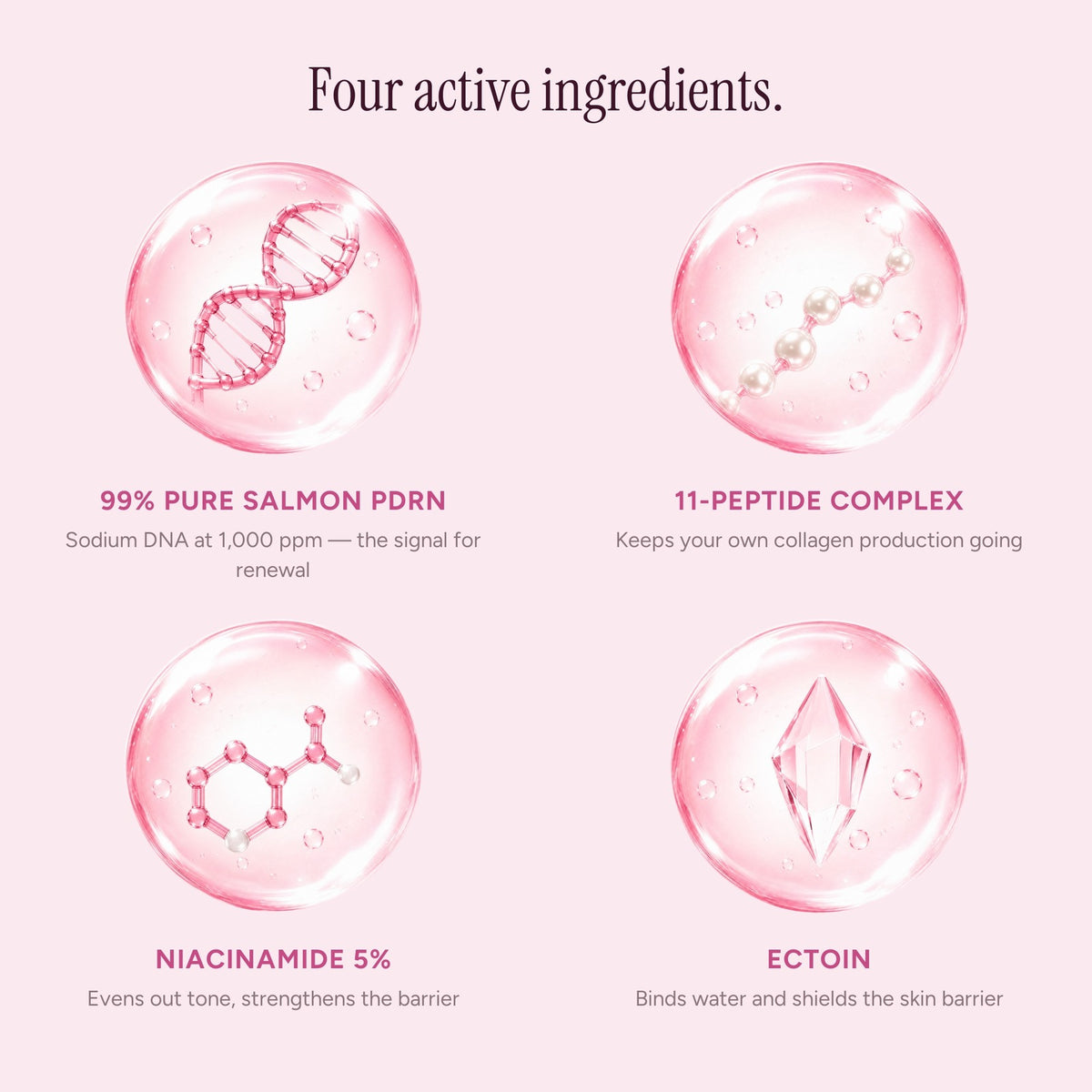 Salmon PDRN, 11-peptide complex, niacinamide and ectoin